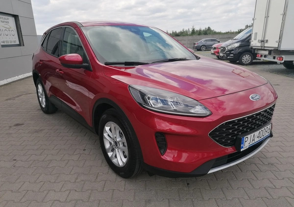 Ford Kuga cena 79900 przebieg: 51900, rok produkcji 2020 z Dąbrowa Tarnowska małe 436